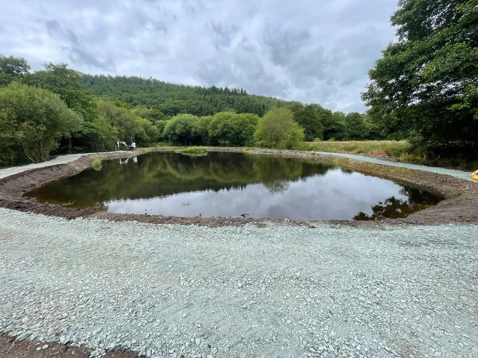 Wildlife pond & margins